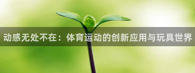 熊猫体育直播nba