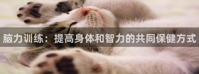 熊猫体育直播