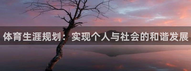 熊猫体育app官网入口
