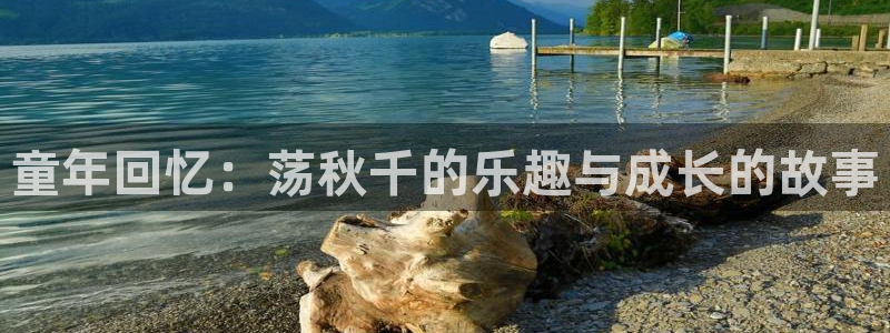动感熊猫体育公园