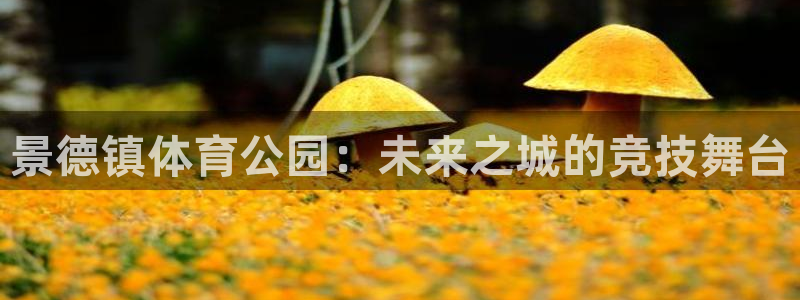 熊猫体育公园