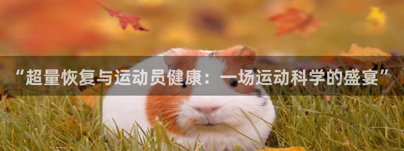 动感熊猫体育公园