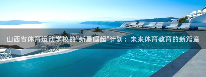 成都金熊猫体育