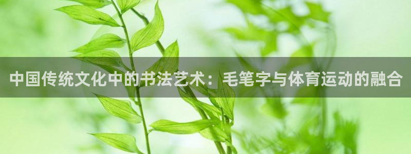 熊猫体育文化有限公司