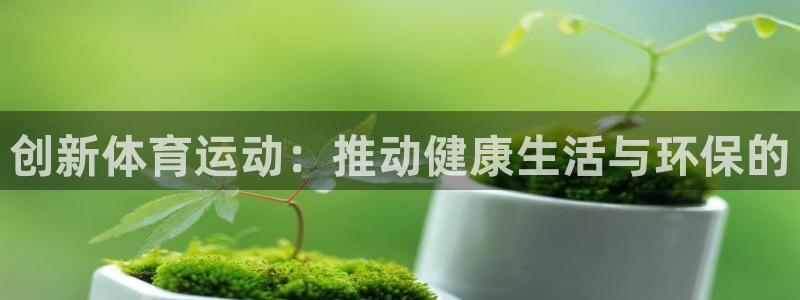 熊猫体育网站