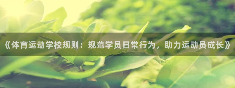 中山熊猫体育