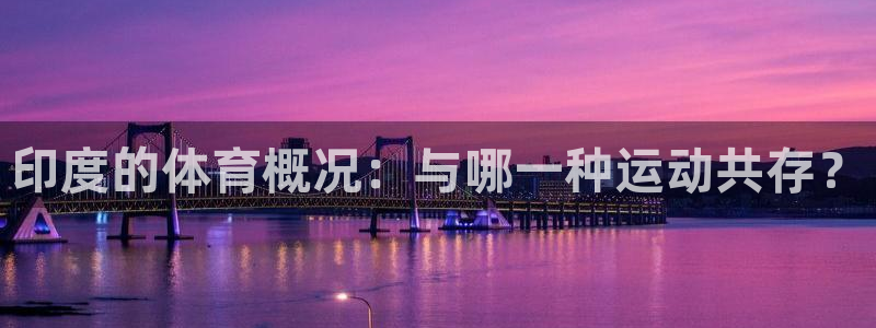 熊猫体育官网首页入口