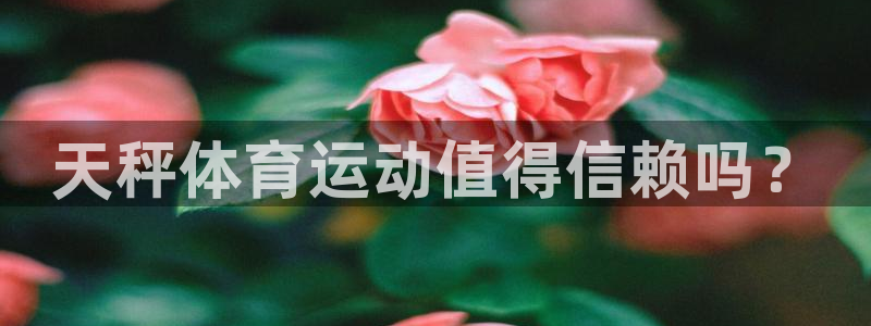 熊猫体育v3.新网页.org