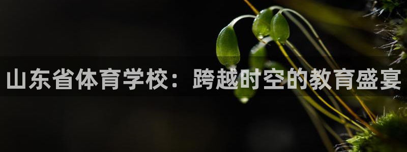 熊猫体育公园