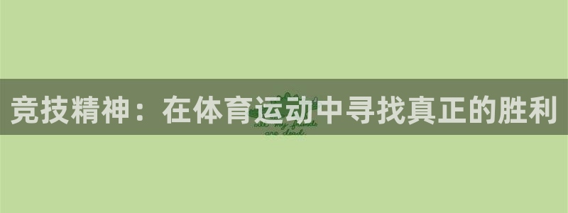 熊猫体育官网
