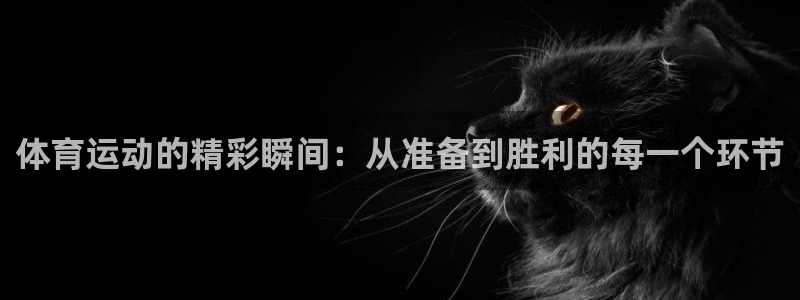 成都金熊猫体育